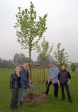 Bernd Scheelen und Uli Hahnen nahmen die Schaufel in die Hand um einen Baum zu pflanzen. Die Krefelder SPD hatte den Baum innerhalb der Kunstaktion von CacoDie Krefelder SPD hatte den Baum innerhalb der Kunstaktion von Caco 